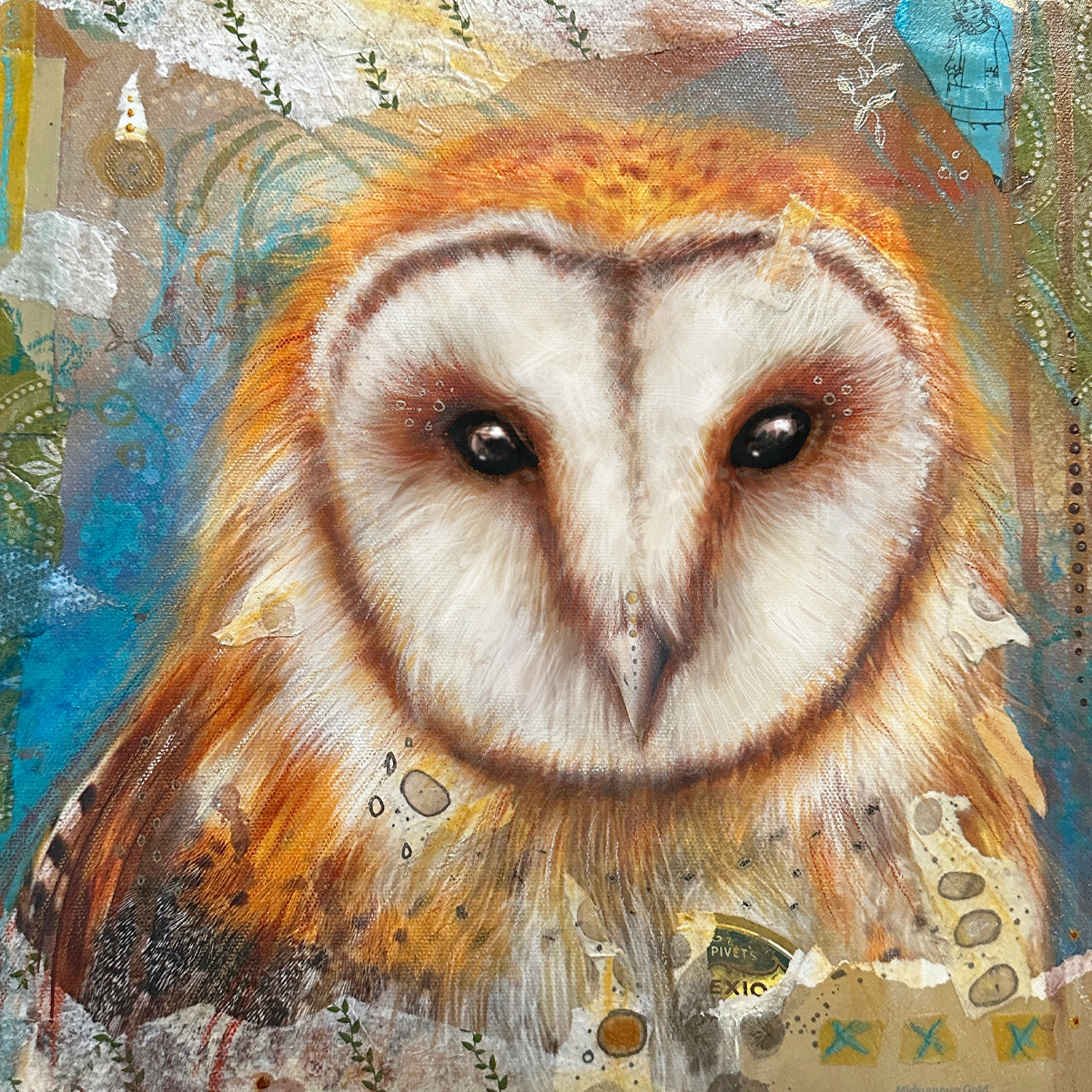 Barn Owl