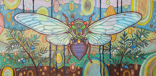 Cicada