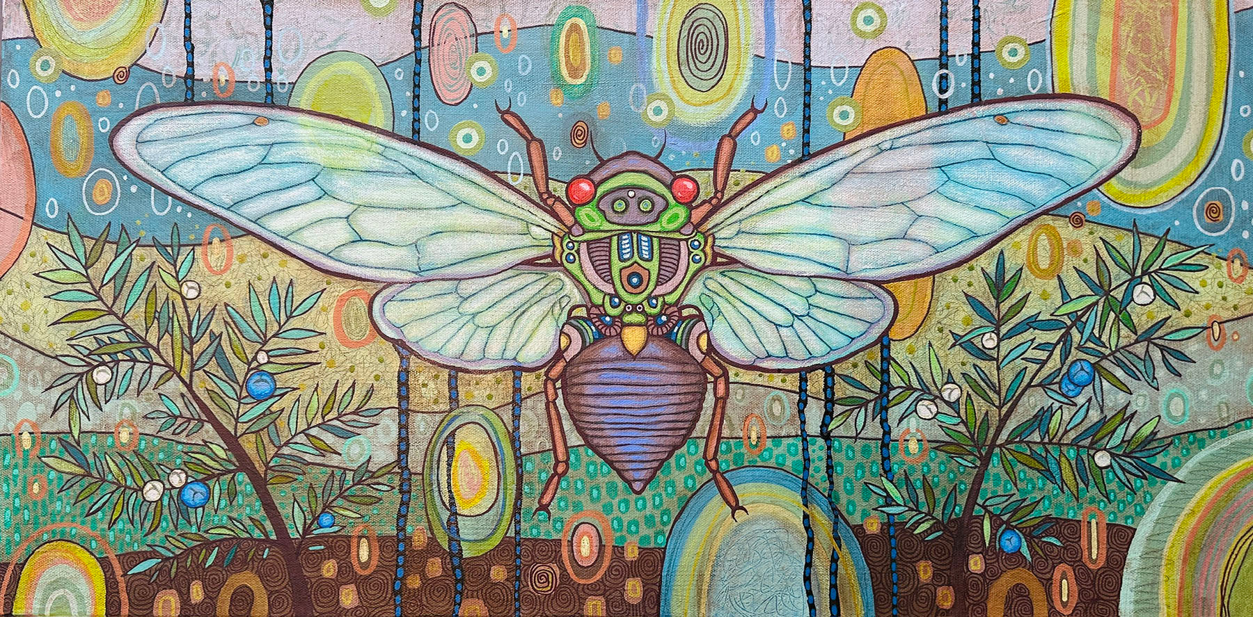 Cicada