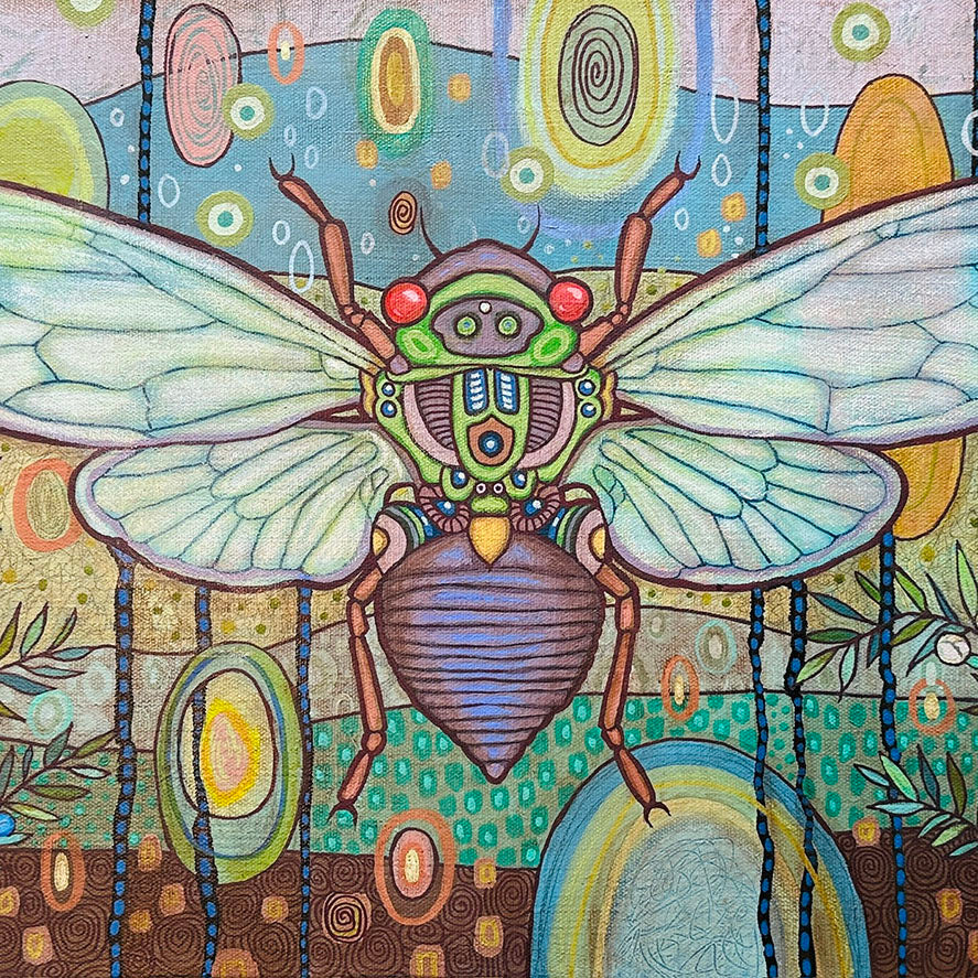 Cicada