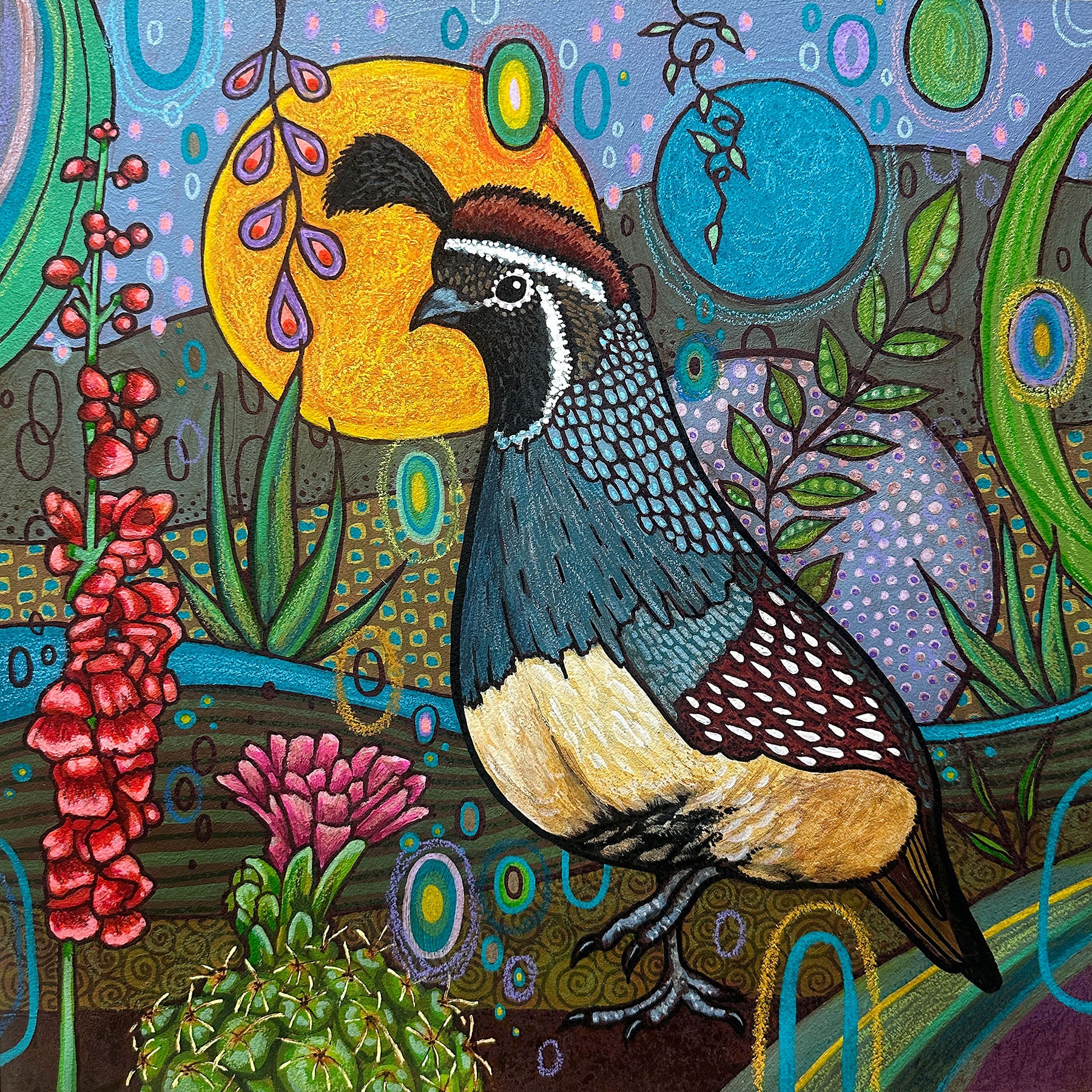 Gambel's Quail