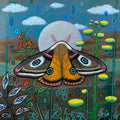 Moonlight Moth